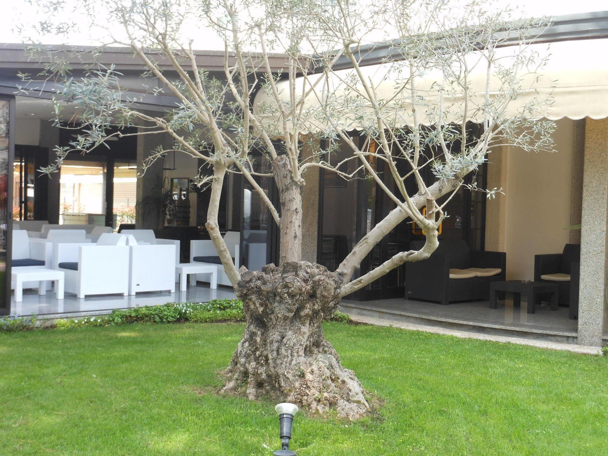 Hotel Jesolo Sand Eksteriør billede